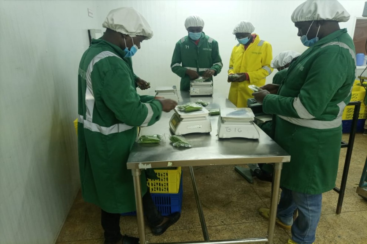 Fruit full farms ltd from Kenya