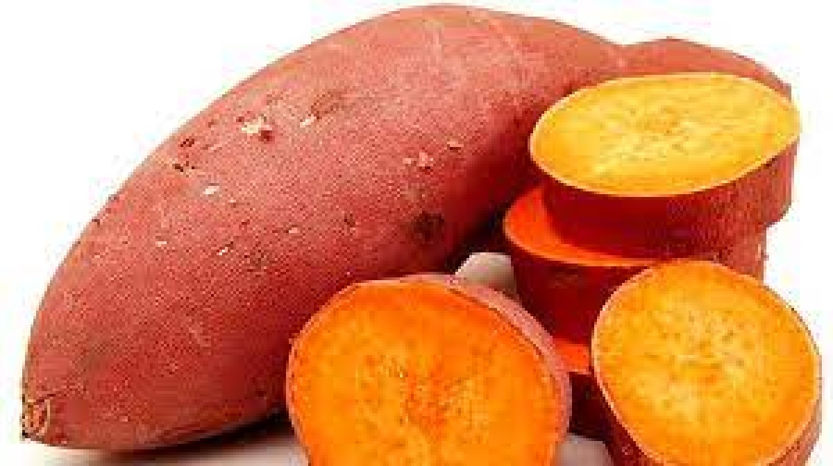 Sweet Potatoes from Kenya