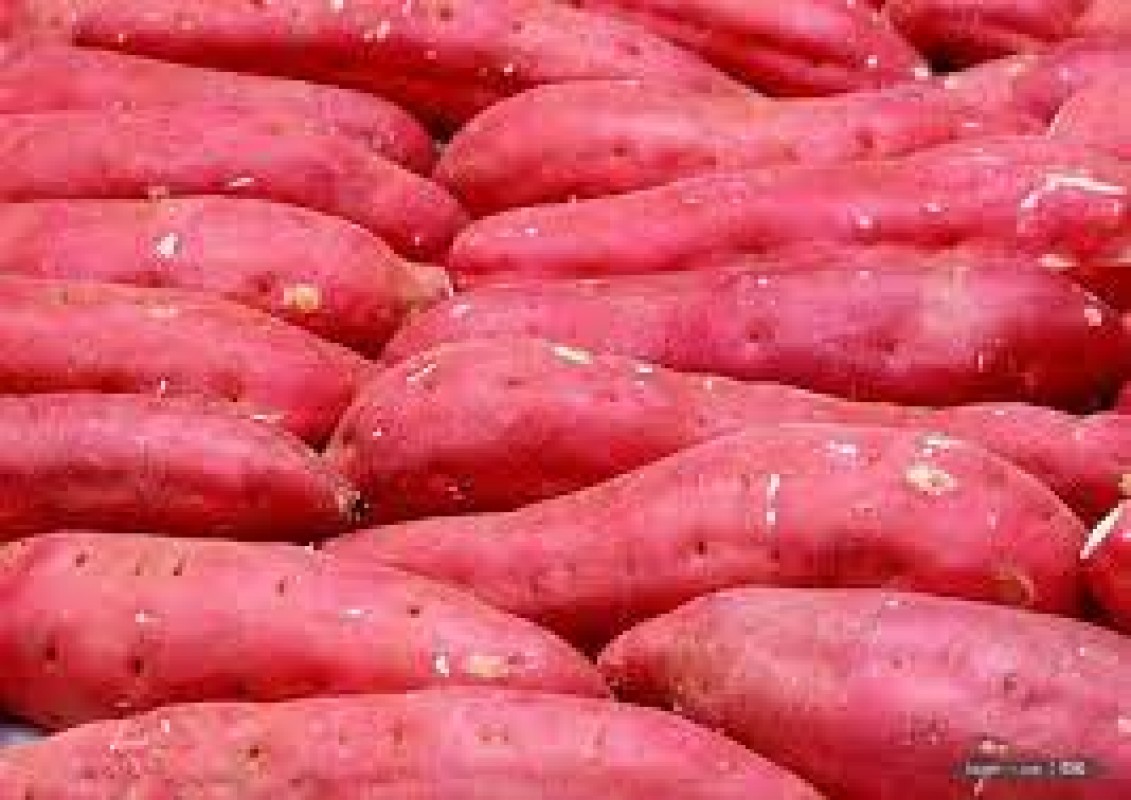 sweet potatoes from Kenya