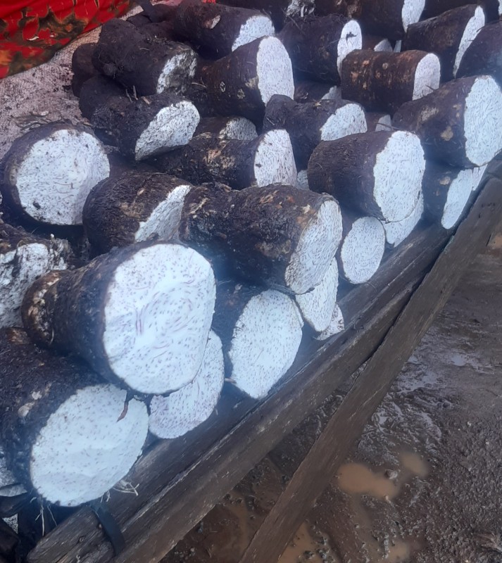 Organic Cocoyam from Kenya