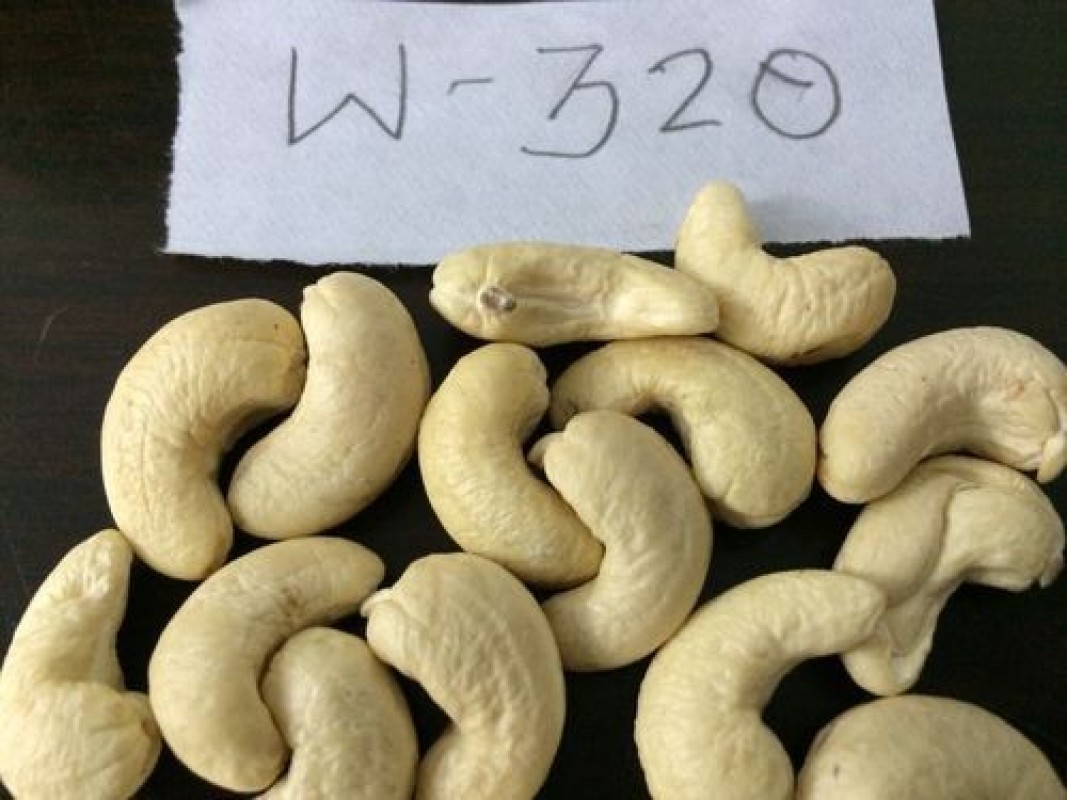 Dried Cashew nuts W320 from Kenya