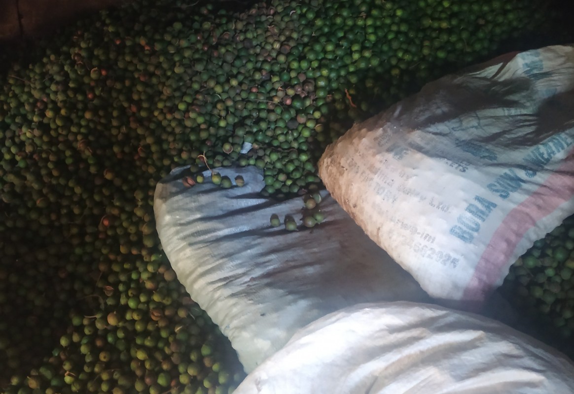macadamia nuts from Kenya