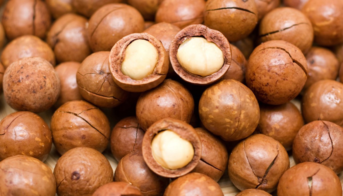 Macademia from Kenya