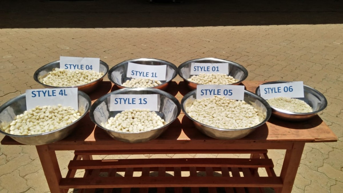 Macadamia kernels from Kenya