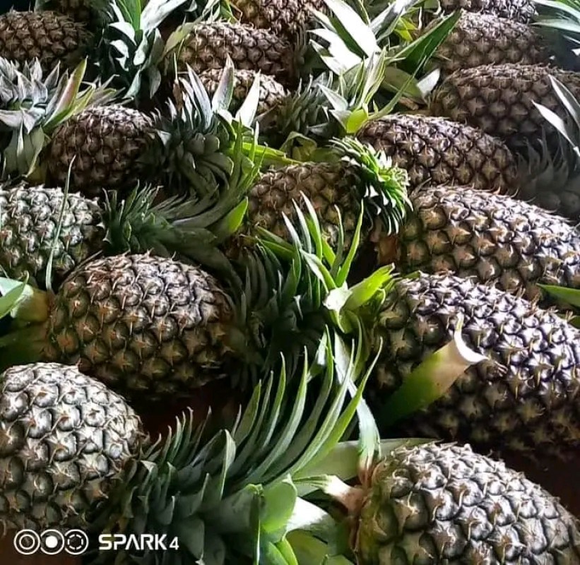 Fresh fruits and vegetables from Kenya