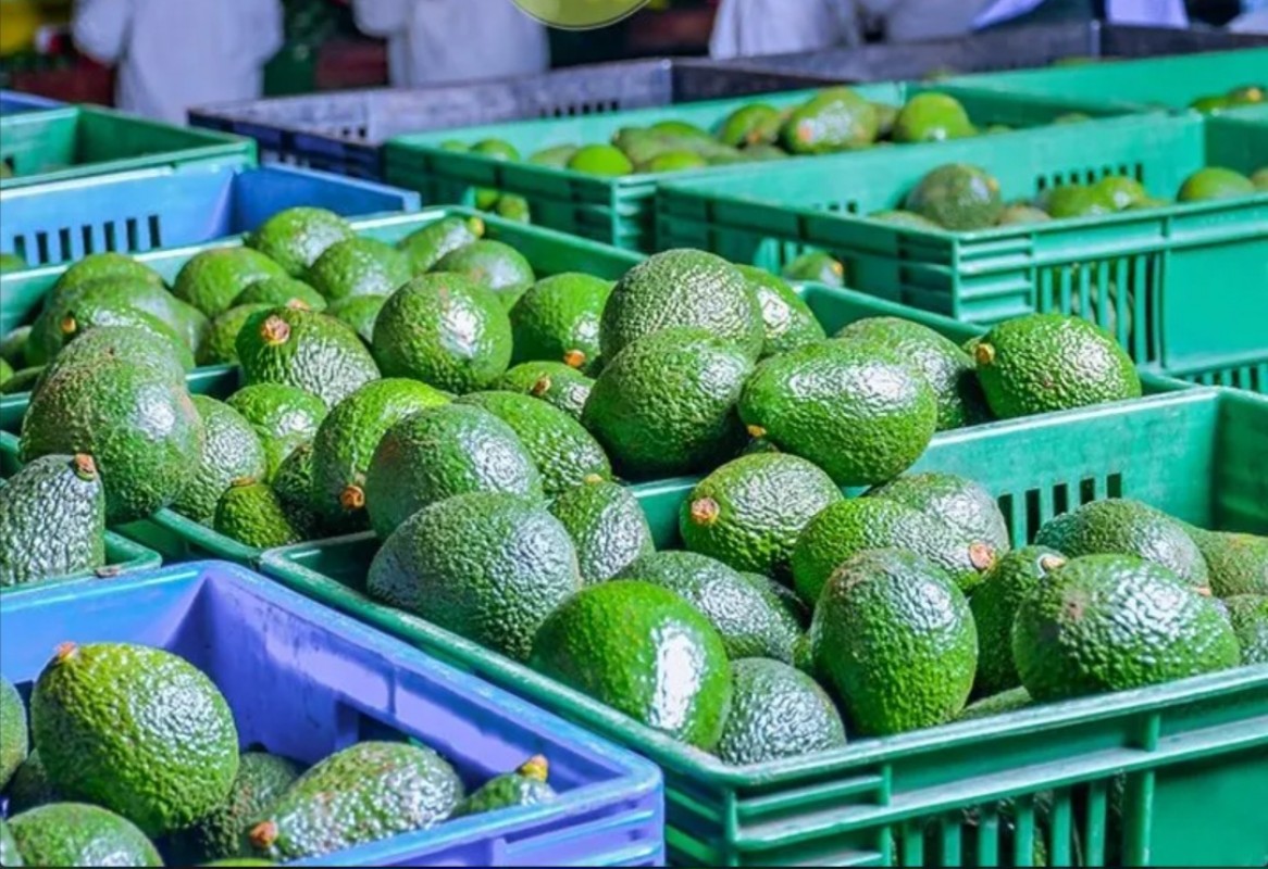 Avocadoes from Kenya