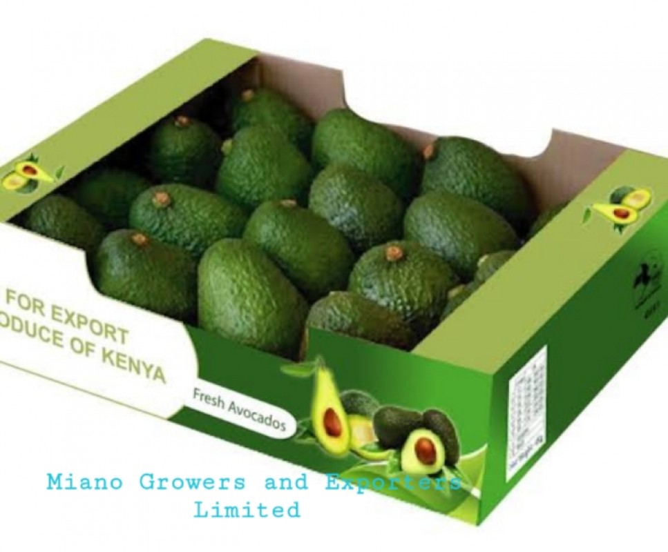 Avocado from Kenya