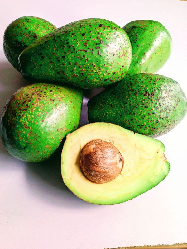 Avocados from Kenya
