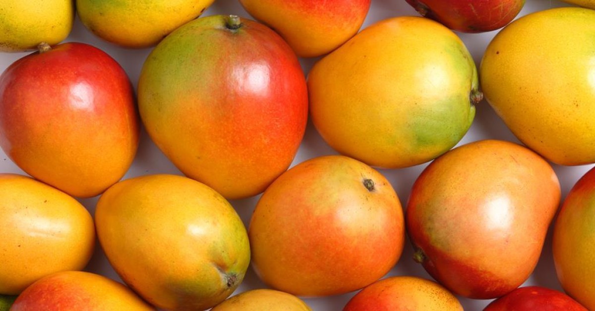 Apple Mangoes from Kenya