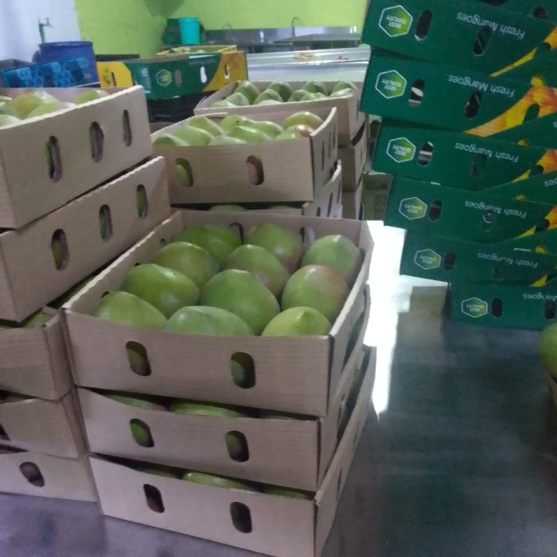 Mango Apple dal Kenya from Kenya