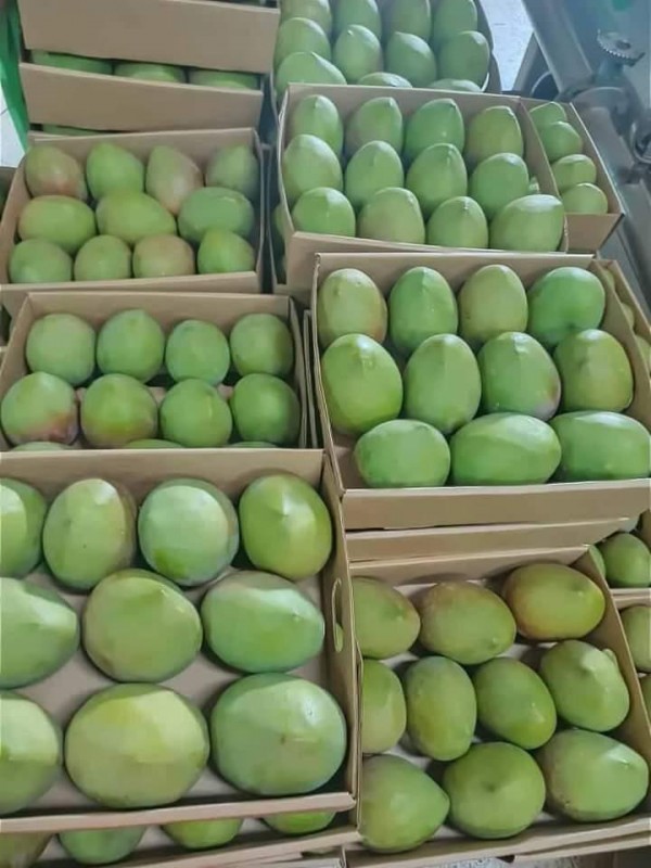 Avocadoes, Mangoes,Passion and Flowers. from Kenya