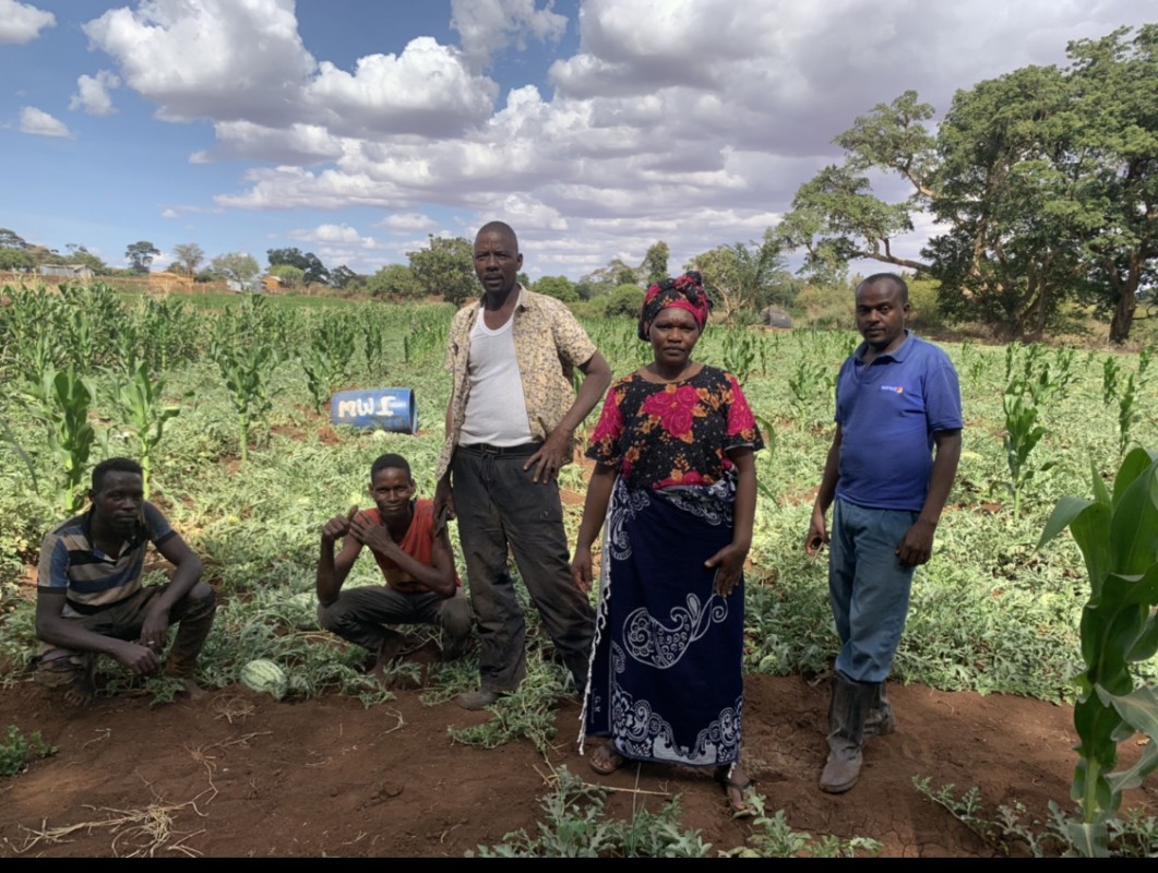 Watermelon from Kenya