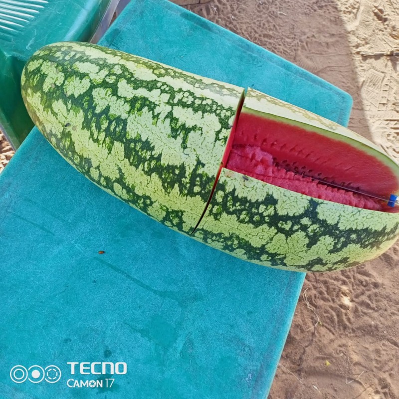 Watermelon from Kenya