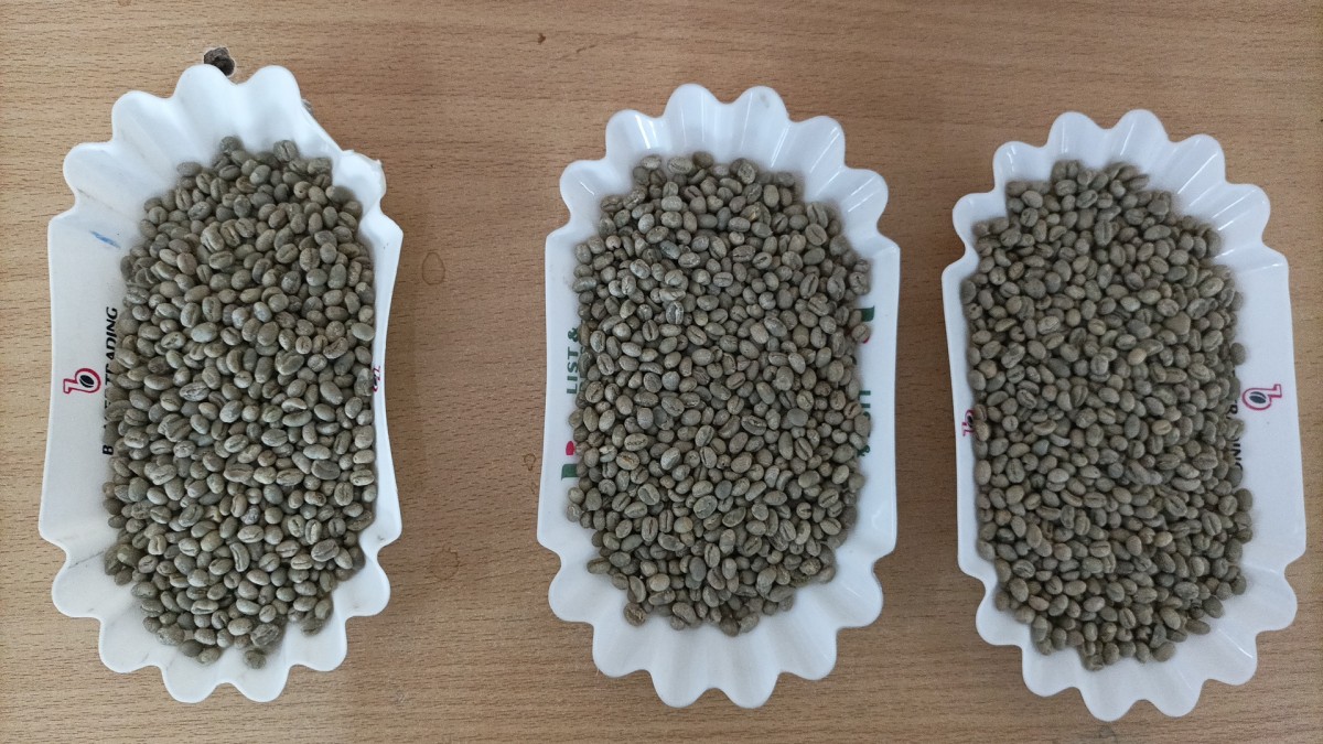 Speciality Kenya Arabica Green Coffee from Kenya