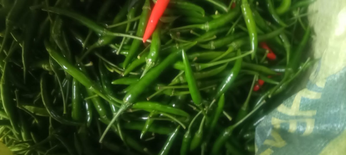Chillies from Kenya