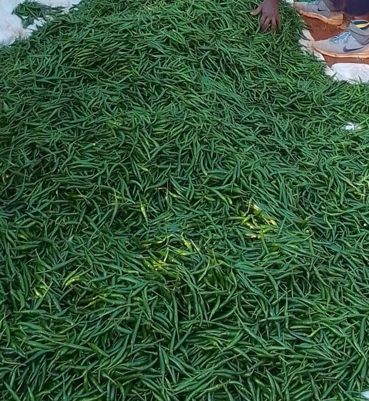Hot chilli from Kenya