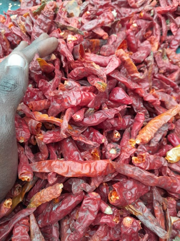 chill pepper from Kenya