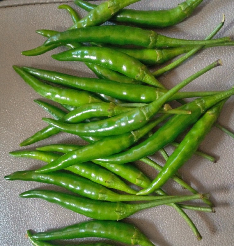 Demon F1 chillies from Kenya