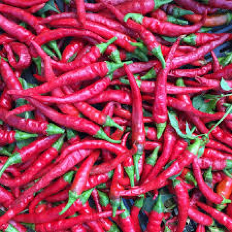 Cayenne Chillies from Kenya