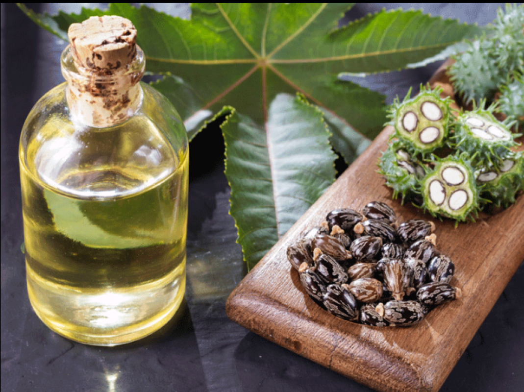 PURE ORGANIC CASTOR OIL from Kenya