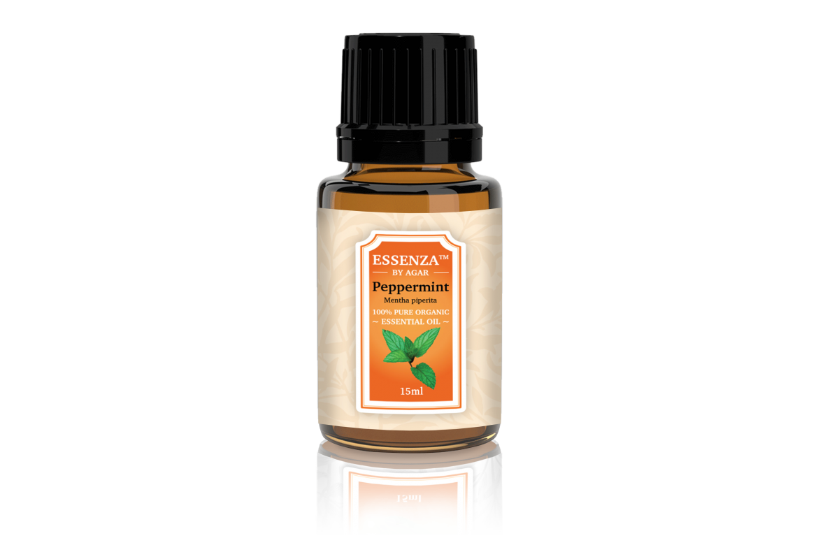 Hortelã-pimenta (Mentha piperita) from Quénia