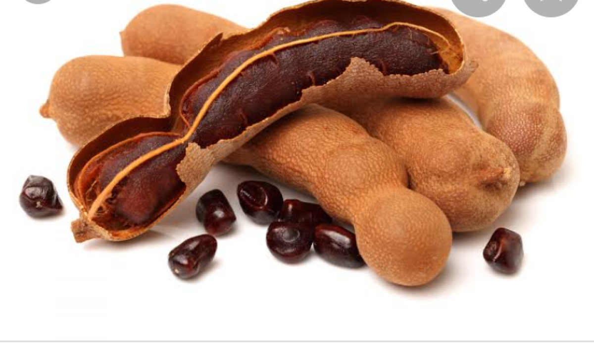 Tamarind Fruits from Kenya