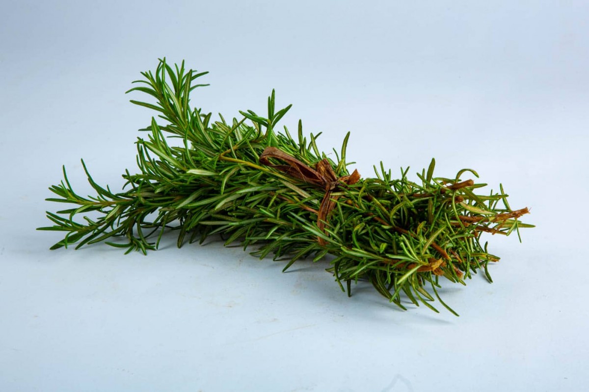 FRESH/DRY ROSEMARY from Kenya