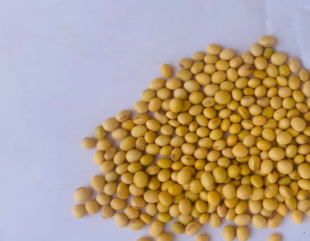 Soya beans from Kenya