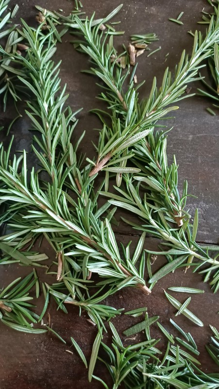 Rosemary from Kenya