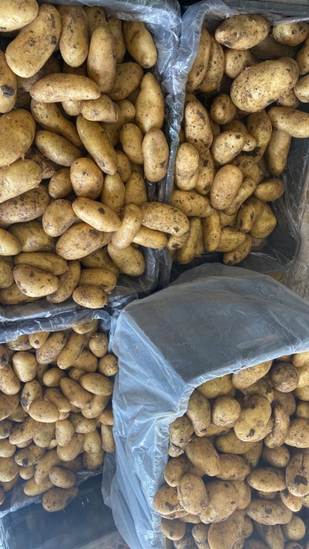 Potatoes from Lebanon