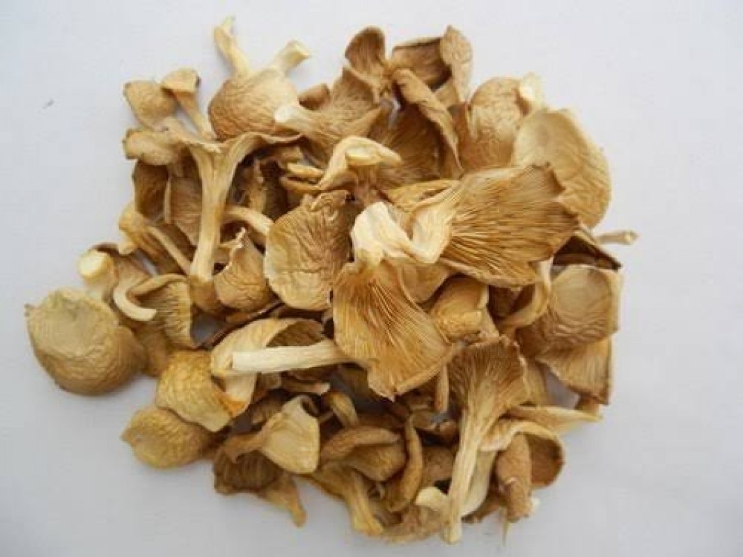 Dried Oyster Mushroom from Sri Lanka
