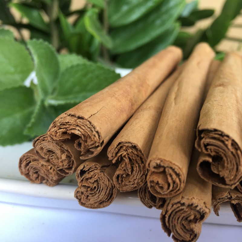 Organic Ceylon Cinnamon and Ceylon Cinnamon from Sri Lanka
