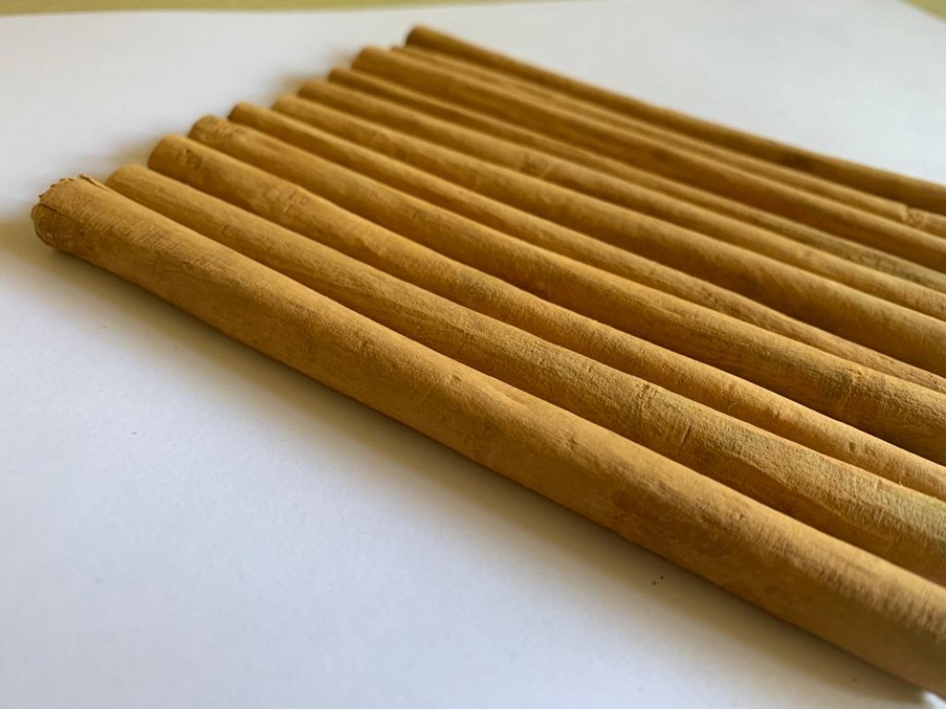 Ceylon Cinnamon Alba from Sri Lanka