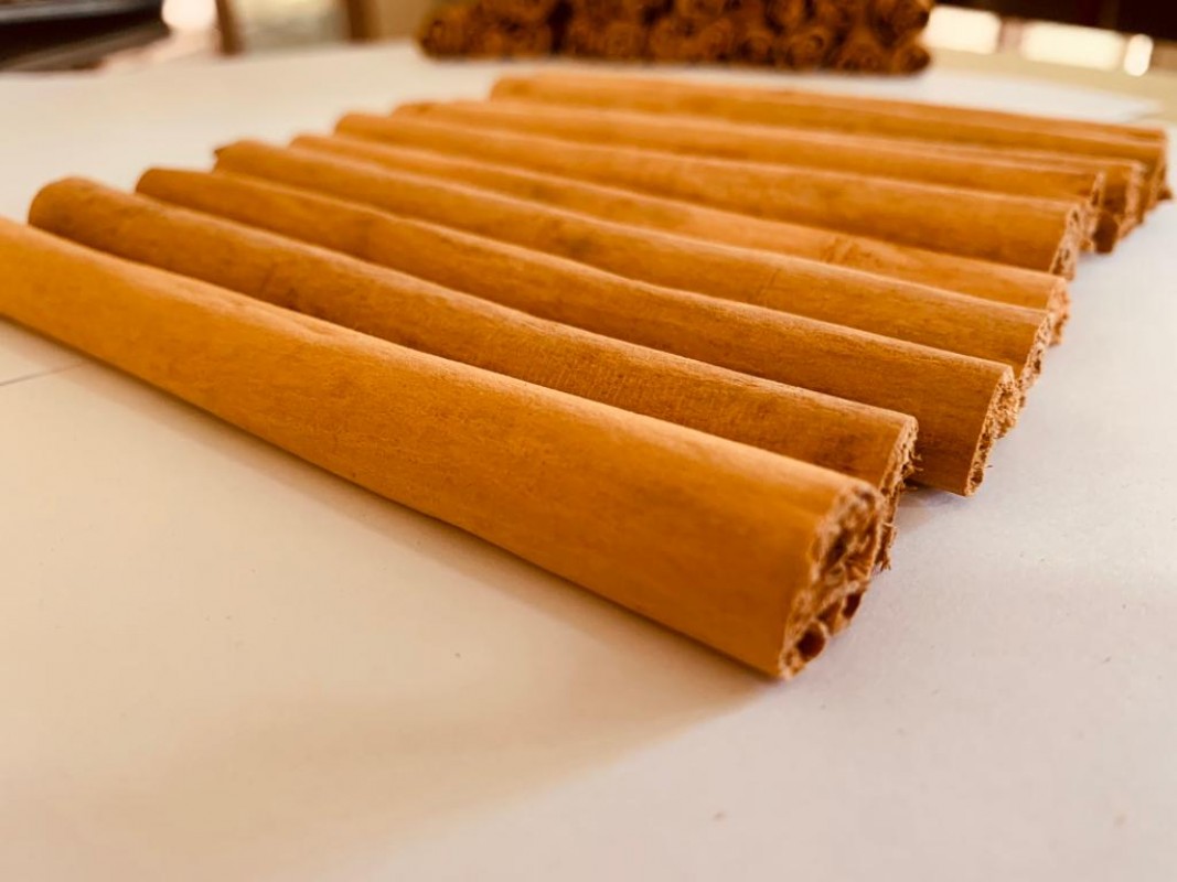 Ceylon Cinnamon C 5 from Sri Lanka