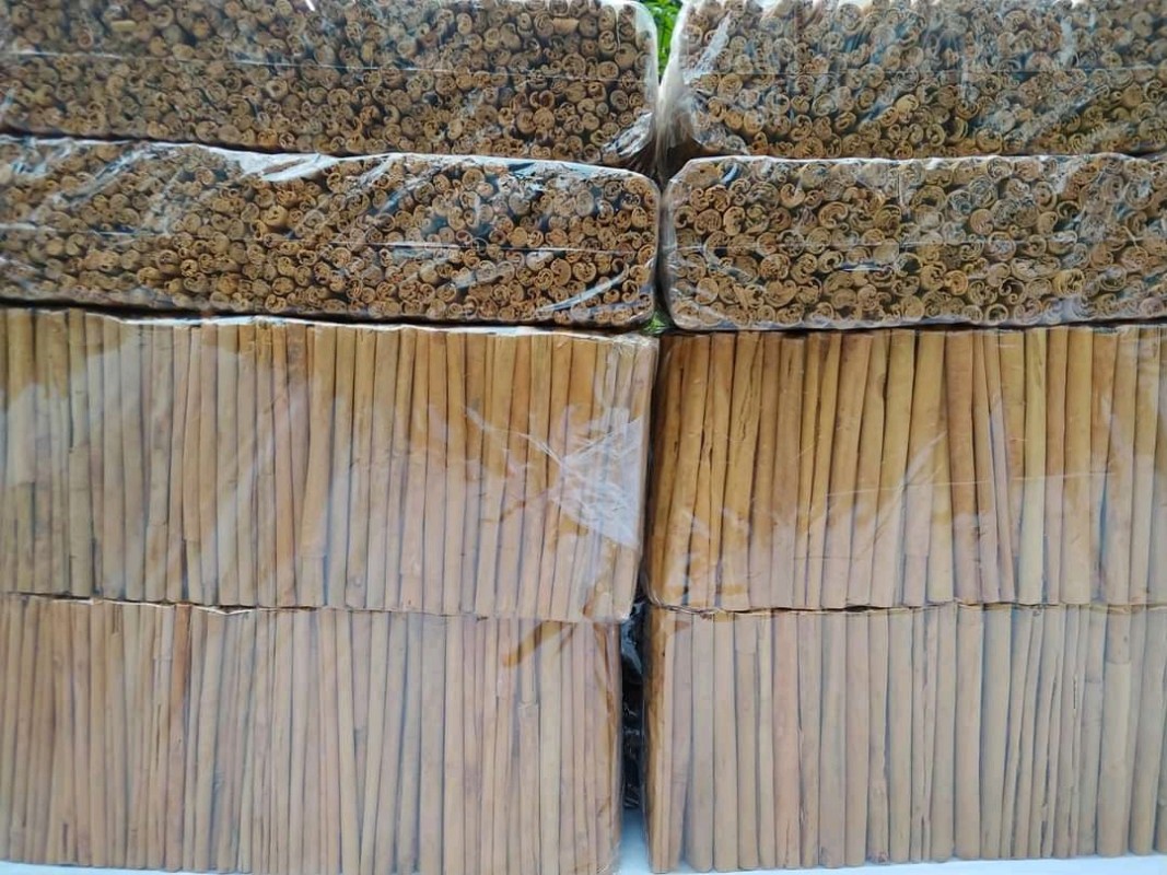 Ceylon Cinnamon from Sri Lanka