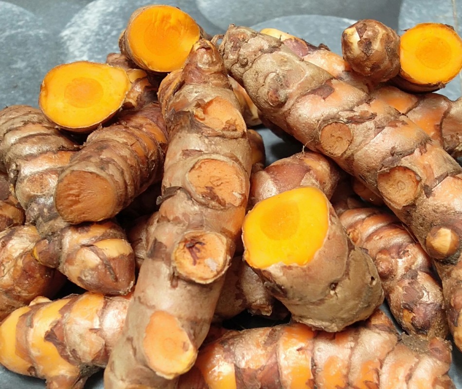 Fresh Turmeric from Sri Lanka