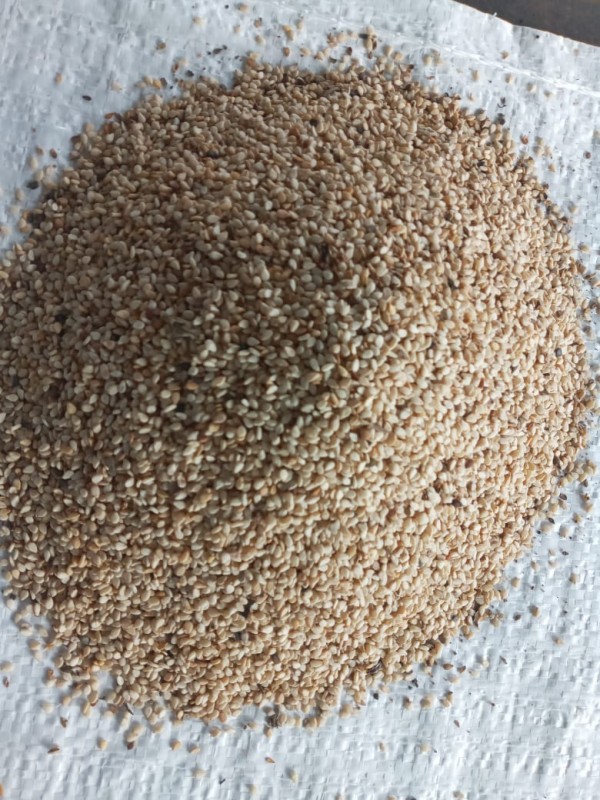 Sesamsamen from Sri Lanka