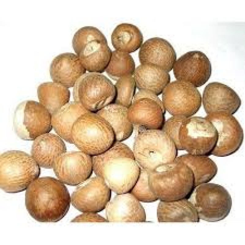 Areca nut from Sri Lanka