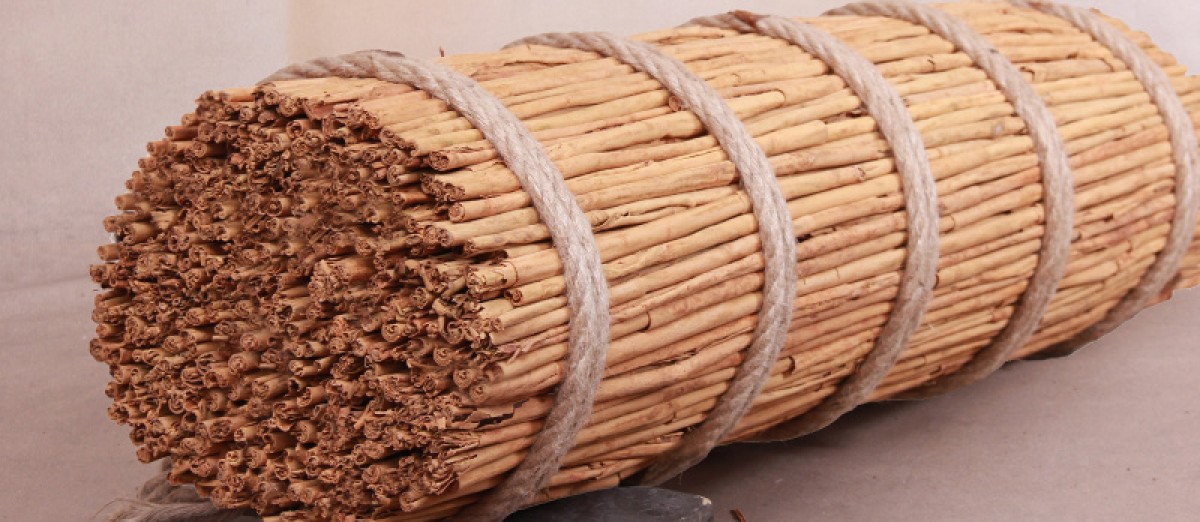 Pure Ceylon Cinnamon (Alba) from Sri Lanka