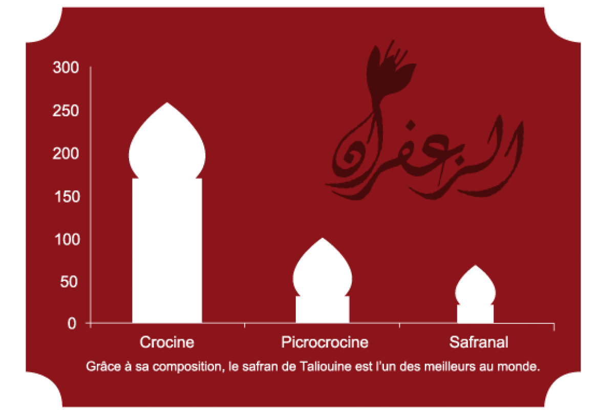 Saffron from Morocco