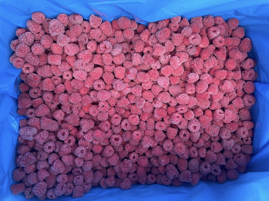 Raspberry frozen from Moldova