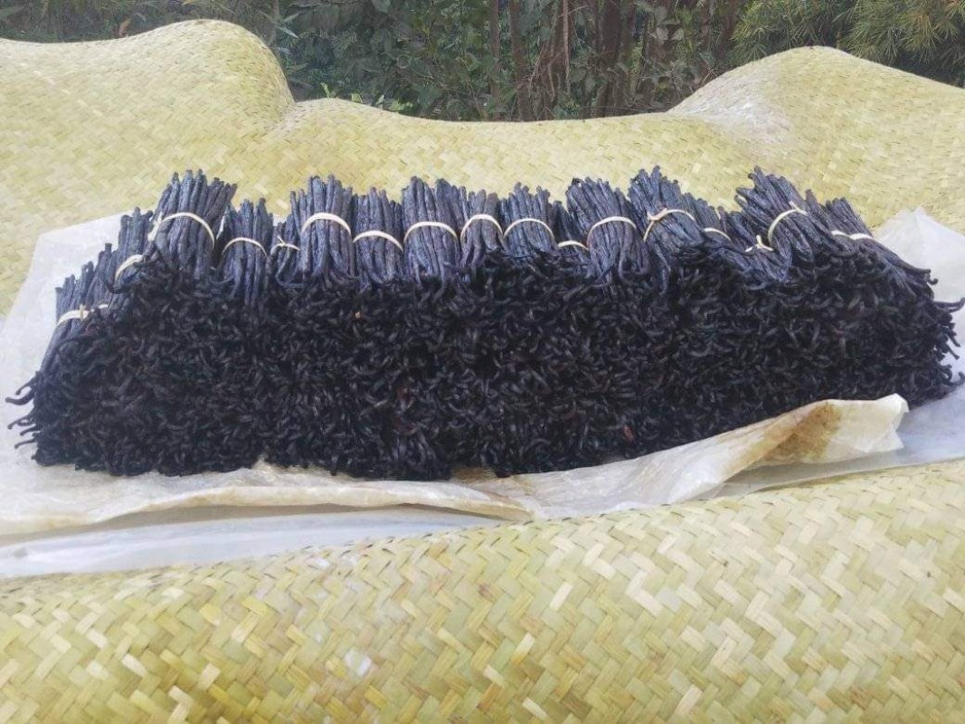 Vanilla pods from Madagascar
