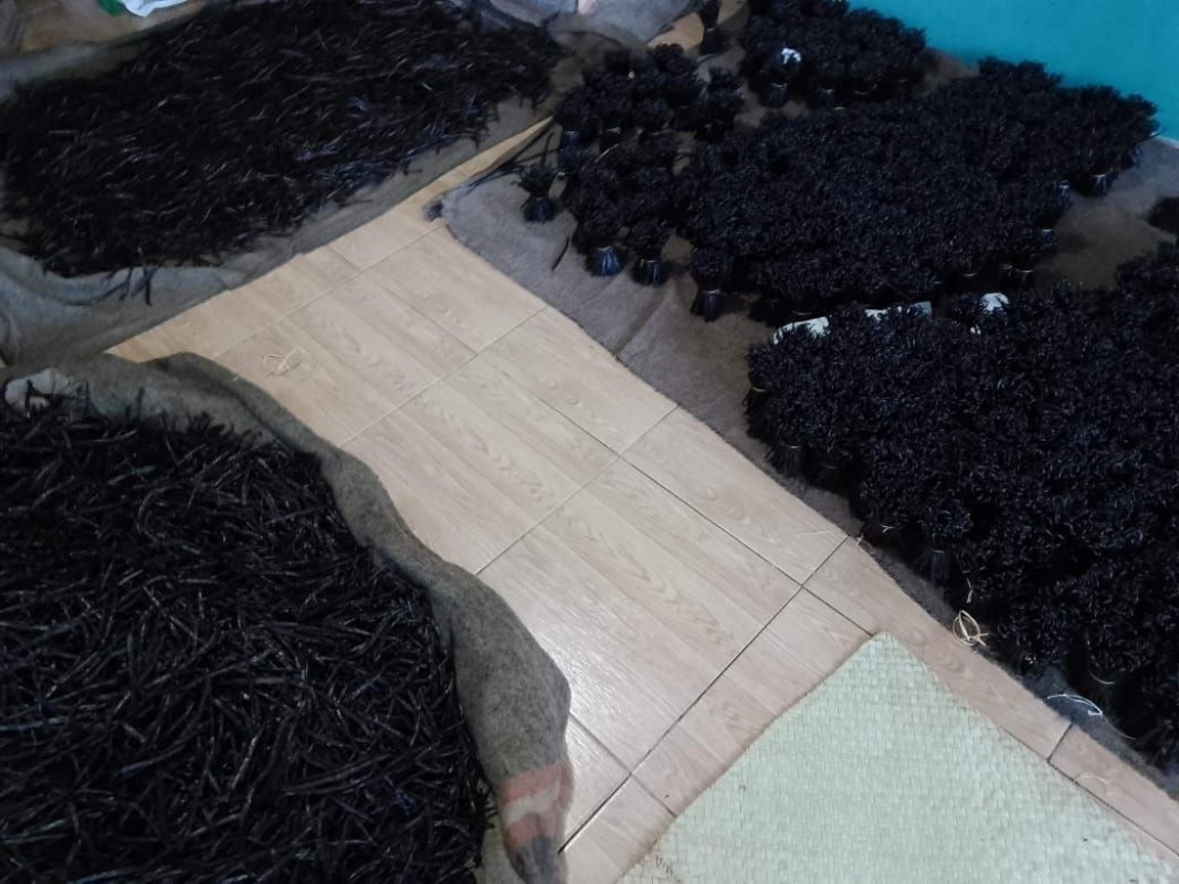 Balck premium Vanilla from Madagascar from Madagascar