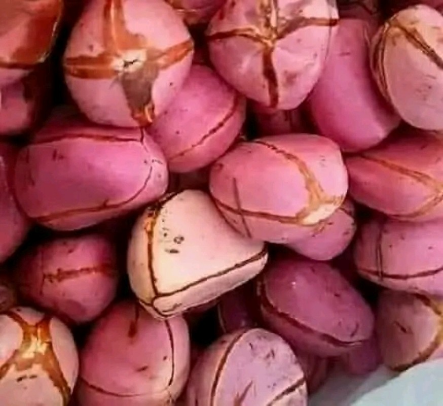 Cola from Madagascar