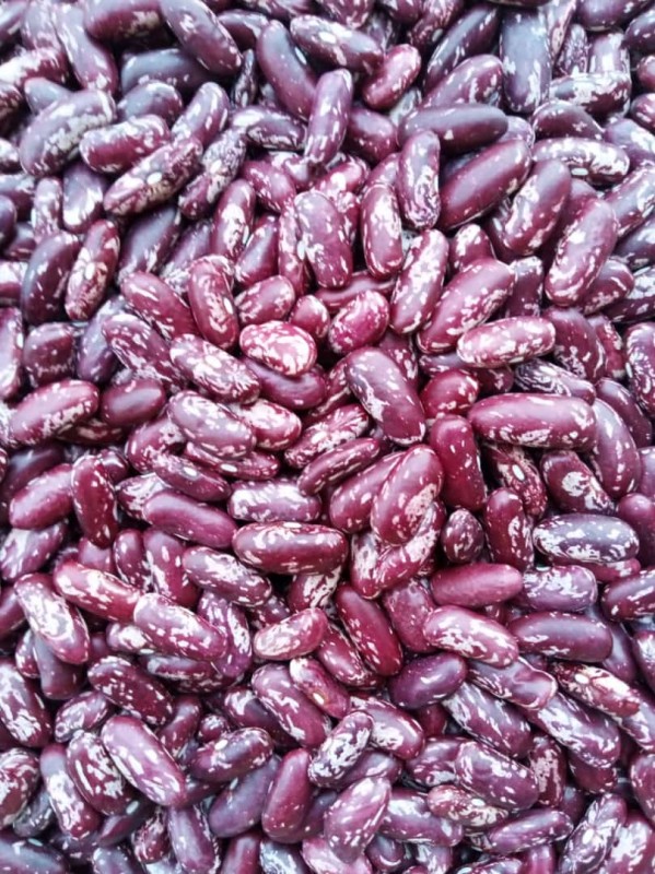 Beans from Malawi