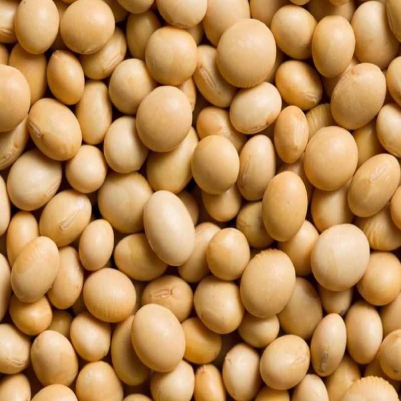 Soya beans from Malawi