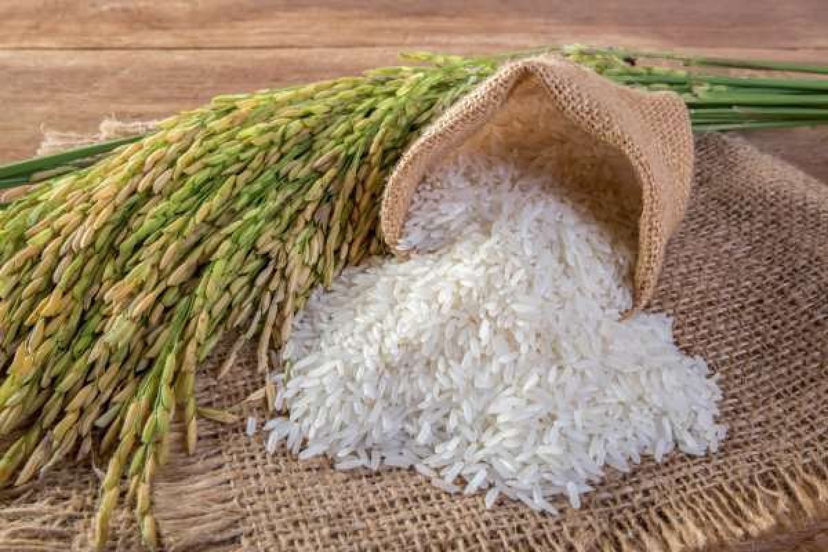 Kilombelo Aromatic Rice from Malawi