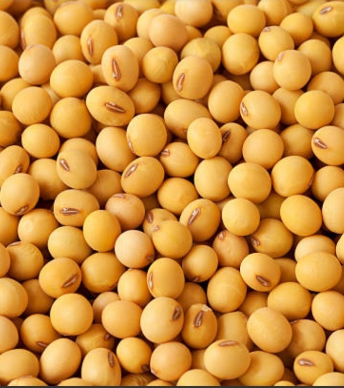 Soya beans from Malawi
