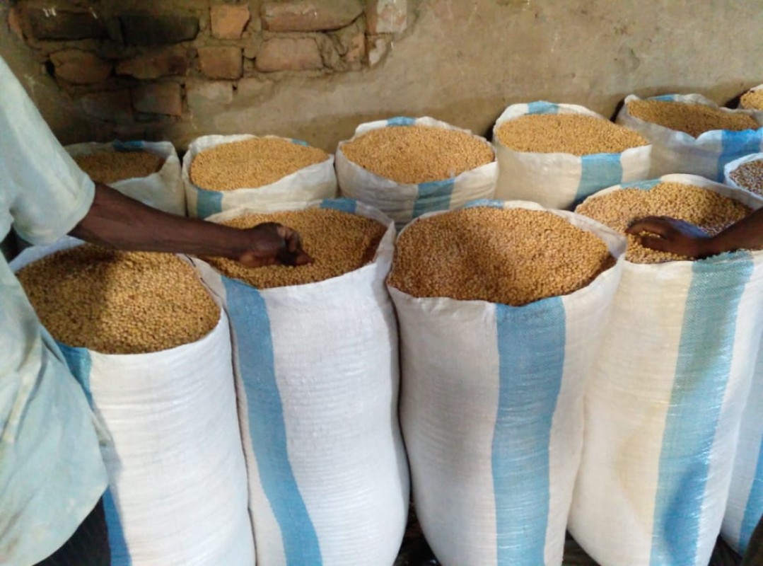 Soybean from Malawi from Malawi