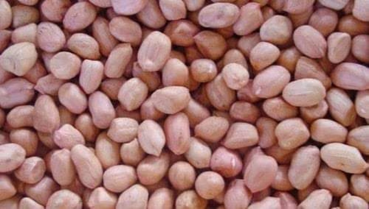 Peanuts/ground nuts for sale in bulks from Malawi